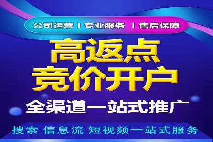 案例解析：如何通过推广竞价提升品牌知名度